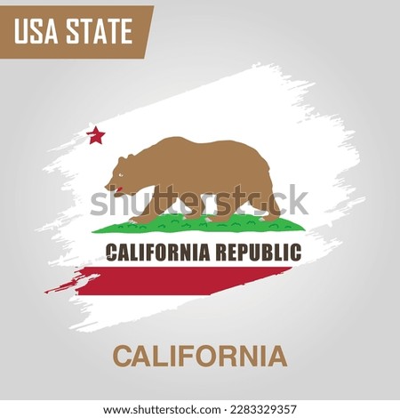 California State Region of United States of America Grunge Vector flag template 