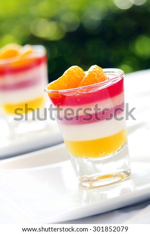 Colorful orange jelly - Fruit jelly in shot Glass.  This dessert made by orange, juice and gelatin
