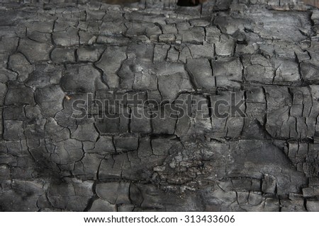 Surface of charcoal texture background. Burnt wood texture.