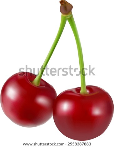 Cherry isolated. Sweet ripe cherry with leaves isolated on white background. Sweet cherries pile. Berries and fruits. Healthy eating.