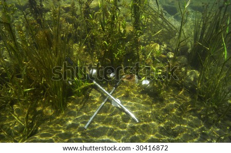 Underwater view of a golf course\'s water hazard.