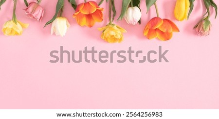 Similar – Image, Stock Photo Beautiful multicolored tulips in a vase on white background