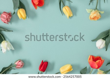 Similar – Image, Stock Photo Beautiful multicolored tulips in a vase on white background