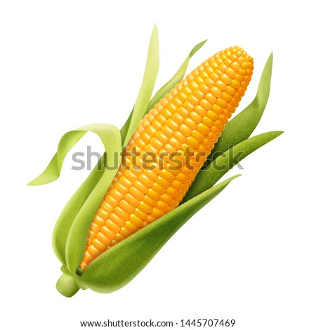 Sweet organic corncob in 3d illustration on white background