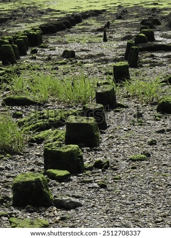 Similar – Image, Stock Photo groynes Village