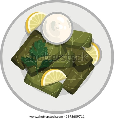 Top View Dolma,Stuffed Grape Leaves. Middle Eastern Food Illustrator Vector.