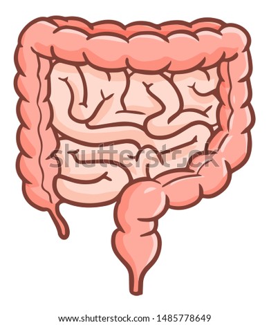 Cute and funny colon or intestine in cartoon style