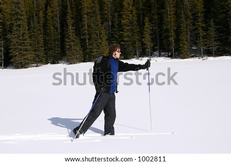 A person cross country-skiing in kanaskis country, canada.