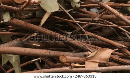 Similar – Foto Bild Gestapeltes trockenes graues Holz für den Kamin im Winter vor einer alten Scheune auf einem Bauernhof in Rudersau bei Rottenbuch im Kreis-Weilheim-Schongau in Oberbayern