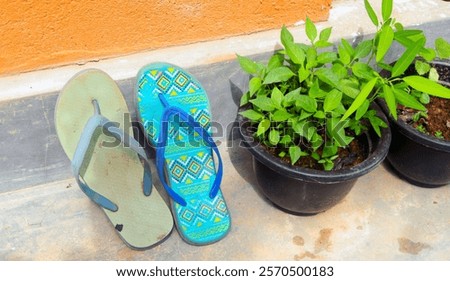 Similar – Image, Stock Photo turquoise doors with shadow