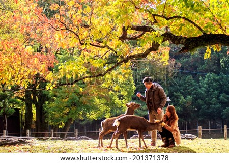 NARA, JAPAN - APRIL 21: Visitors feed wild deer on April 21, 2013 in Nara, Japan. Nara is a major tourism destination in Japan - former capita city and currently UNESCO World Heritage Site.