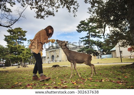Visitors feed wild deer in Nara, Japan. Nara is a major tourism destination in Japan - former capital city and currently UNESCO World Heritage Site.