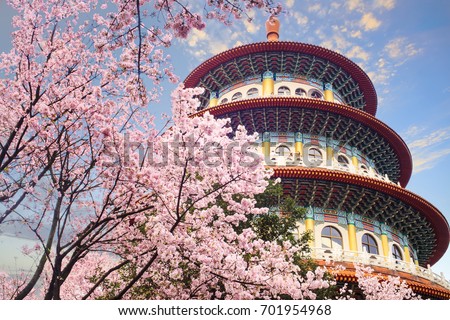 The beautiflu sakura garden with nice sky in Taipei, Taiwan 商業照片 © 