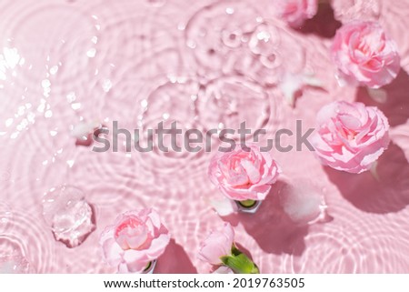 Similar – Image, Stock Photo Pink natural roses on vase