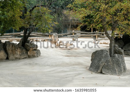 Similar – Image, Stock Photo fawn vienna wildlife