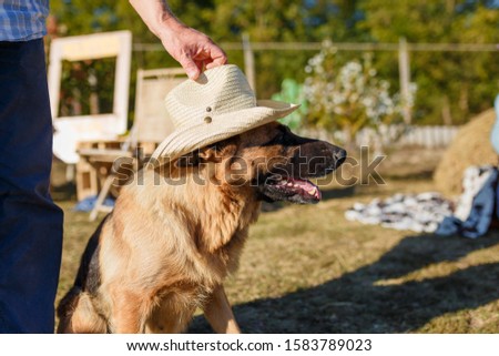 Similar – Image, Stock Photo German Sheppard dog posing at the boat