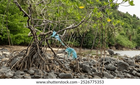 Similar – Image, Stock Photo Plastic waste in branches of a bare tree in front of a glass facade