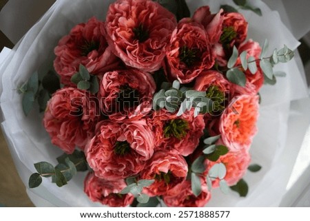 Similar – Image, Stock Photo Amazingly beautiful pink Peony on light pink background. Card Concept, copy space for text