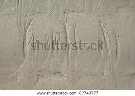 Water pattern on a sand after fall of tide painting an artificial picture, structure at the coast line