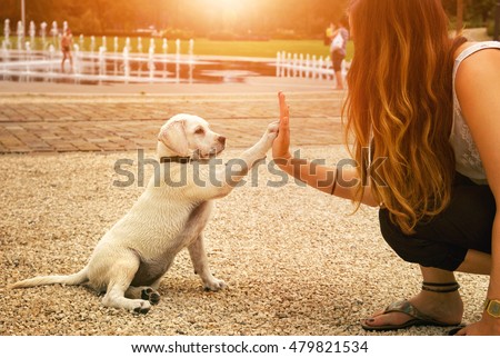 Similar – Image, Stock Photo Woman with cute dog on beach