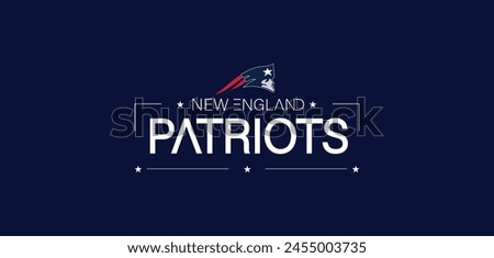 The New England Patriots Unique Illustration Style