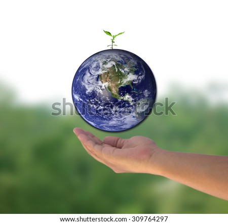 Protect world earth and young green plant and tree by hand on over blur forest background. world photo from NASA