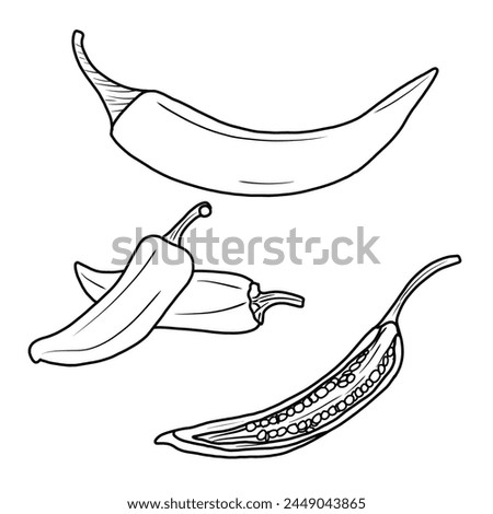 Vector drawing Illustration Hand drawn ink sketch of Chili, Half Peeled, whole and sliced line art isolated on white background. Education and school kids coloring page, printable, activity, flashcard