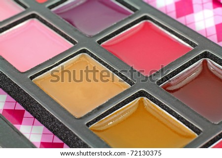 A nice variety of lip gloss colors in a compact case.