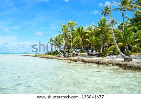 Coconut palms on the beach of a desert island near Tahiti in French Polynesia in the pacific ocean.
