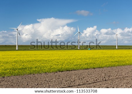 Dutch wind turbines behind a yellow cole seed field