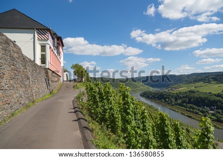 Vineyards along German river Moselle