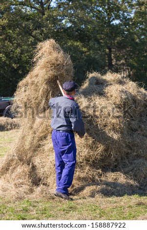 NIEUWEHORNE, THE NETHERLANDS - SEP 28: An unknown farmer is handicraft collecting hay to a haystack during the agricultural festival Flaeijel on September 28, 2013, the Netherlands