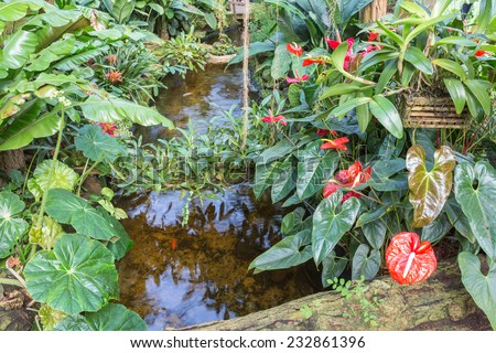 Botanical garden with small creek and red flamingo flowers