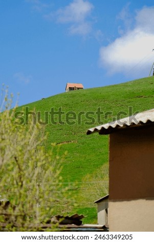 Similar – Image, Stock Photo a lonely house in the dunes