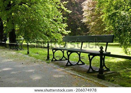 bench in green park with path way