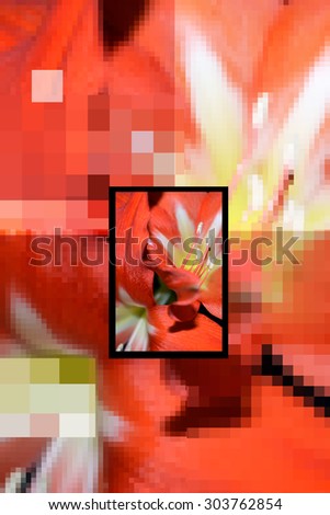 Red stylized pixel, square amaryllis for background, poster, calendar, card, invitation, wallpaper