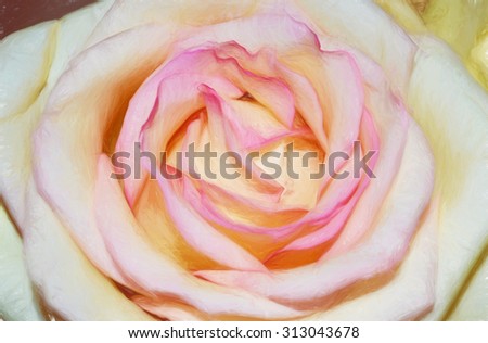 Rose for background, label, sticker, wallpaper, screen, postcard, poster, invitation, wedding invitation, logo, decoration, fabric, cover, dress, greeting card, package, packaging, bag,
