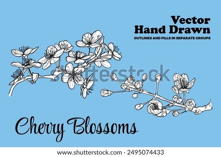 Vector hand drawn cherry blossoms. Black outline, white fill on separate groups. Elegant cherry blossoms for print and online design projects. These assets are ready to use, easy to edit.