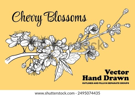 Vector hand drawn cherry blossoms. Black outline, white fill on separate groups. Elegant cherry blossoms for print and online design projects. These assets are ready to use, easy to edit.