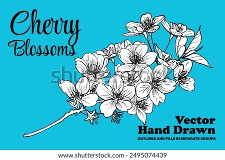 Vector hand drawn cherry blossoms. Black outline, white fill on separate groups. Elegant cherry blossoms for print and online design projects. These assets are ready to use, easy to edit.