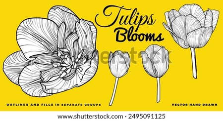 Vector hand drawn tulips blooms. Spring flowers isolated on a yellow background. Easy to use and edit flower assets. Black outline, white fill in separate groups.