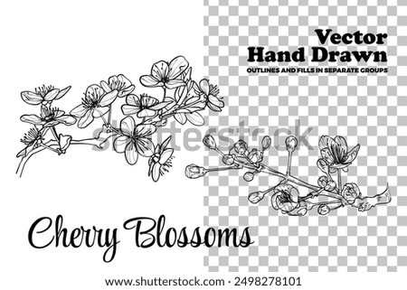 Vector hand drawn cherry blossoms. Black outline, no fill, with fine details. Elegant cherry blossoms for print and online design projects. These assets are ready to use, easy to edit.