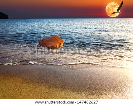 bag in the sea at the full moon