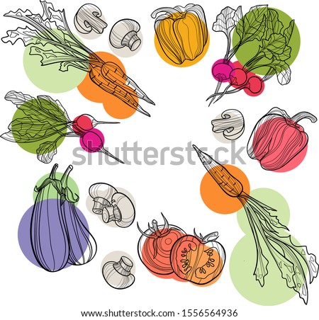 Vegetable set in vector. Harvest and Thanksgiving fruit of nature, food collection for restaurants, menus, posters and grocery bags: bell pepper, eggplant, radish, mushroom, carrot. Graphics and color