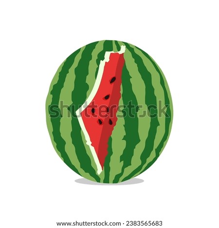 
Palestine on a watermelon illustration. Watermelon is a symbol of resistance of the Palestinian