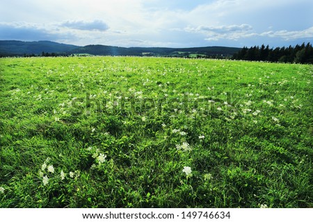 Green Landscape from the summer Mountains Sumava in southern Czech