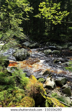 The cold Mountain Stream with the red Water in the south Bohemia\'s Wilderness