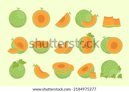 Set of whole ripe melons and fresh slices with flat leaf illustration isolated