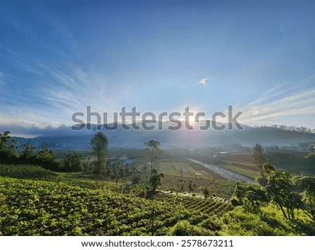 Similar – Image, Stock Photo Behind the hill with plants, a bright glow appears against the already darkened sky. The sun sets on the horizon.