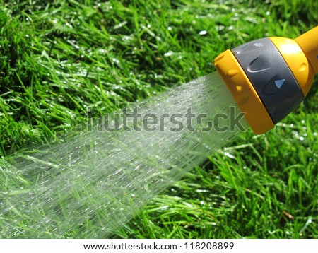 Watering lawn grass with a shower sprayer head